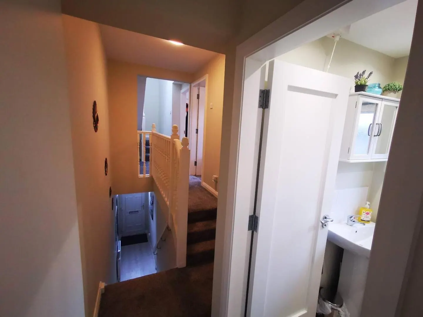 4Br Modern Botanic House Βίλα Μπέλφαστ
